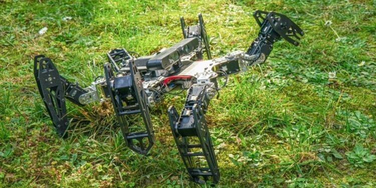 Des robots qui s’adaptent vite aux blessures comme les animaux