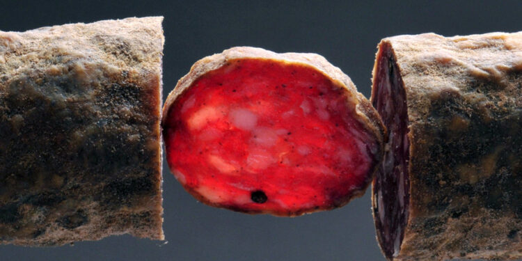 Haro sur la charcuterie, accusée de causer le cancer