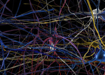 Feu vert de l’UE pour la suite du Human Brain Project