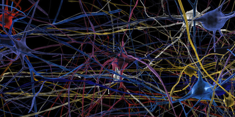 Feu vert de l’UE pour la suite du Human Brain Project