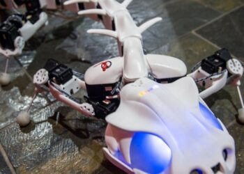 Etudier les robots pour percer les secrets de la locomotion animale