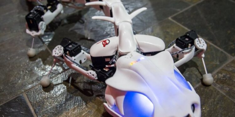 Etudier les robots pour percer les secrets de la locomotion animale