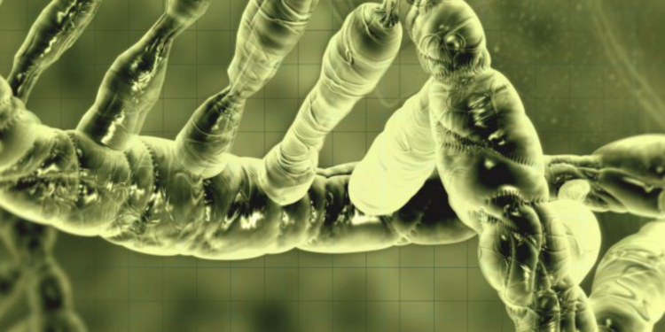 Santé Personnalisée: 10 vidéos sur les enjeux