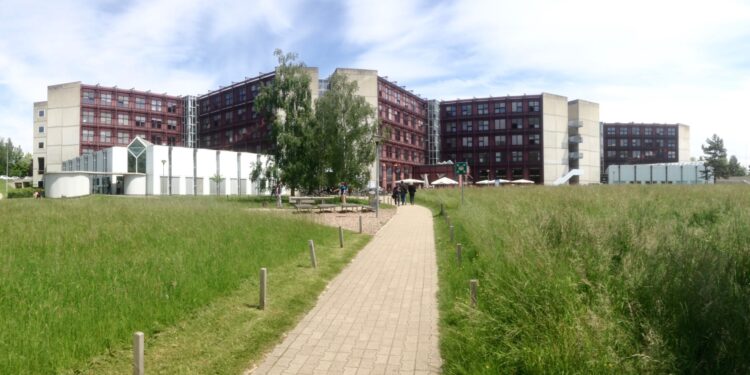 L’Université de Lausanne découvre la fraude de son ancien chercheur