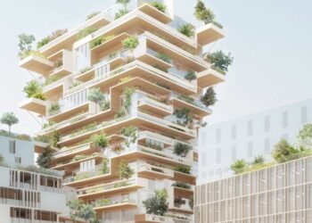 Vers le haut et vers le bois