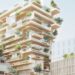 Vers le haut et vers le bois