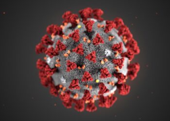 Est-on contagieux sans symptôme du coronavirus? L’urgence d’agir conduit à une étude bâclée