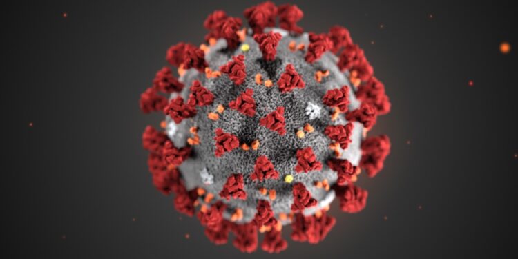 Est-on contagieux sans symptôme du coronavirus? L’urgence d’agir conduit à une étude bâclée