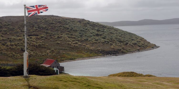Aux Malouines, îles sublimes de désolation