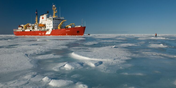 Au chevet de la banquise arctique