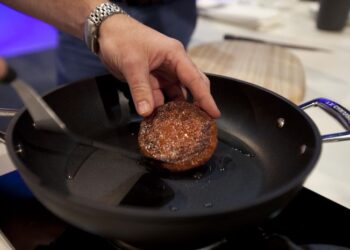 Premier steak de viande «in vitro» dégusté