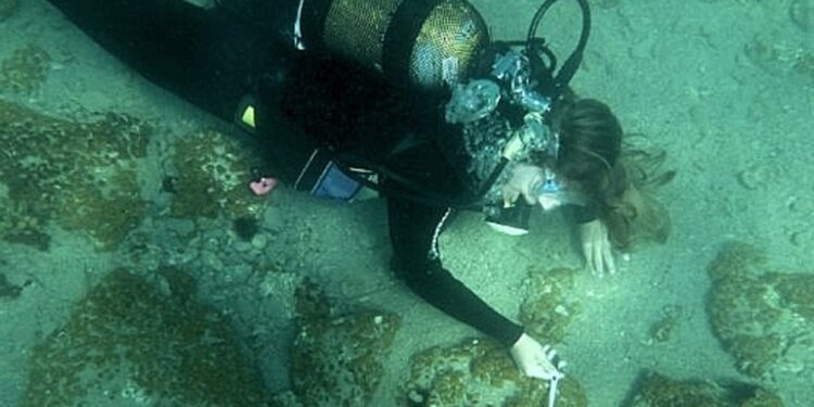 Cité engloutie du IIIe millénaire av. J.-C. trouvée en Grèce par des Genevois