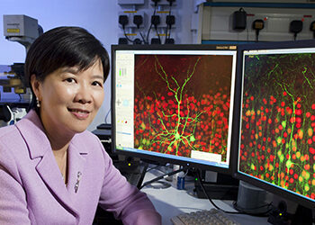 La Chine aura son méga-projet sur le cerveau