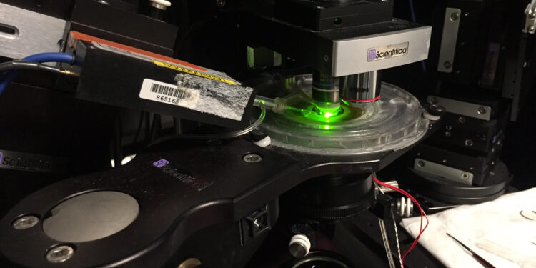 A Seattle, plongée dans la fabrique de la conscience