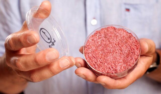 La dégustation du hamburger fabriqué in vitro