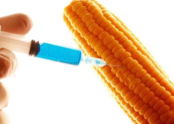 OGM, un coup médiatique