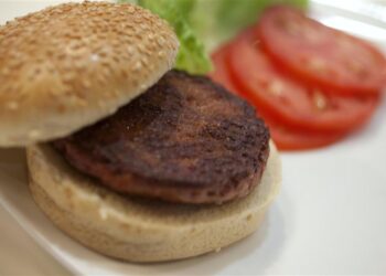 Steak artificiel: troisième révolution?