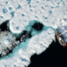 La Suisse se profile sur les petites plateformes de recherche en Arctique