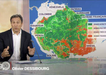 ECLAIRAGE: Déforestation en Amazonie: point de bascule