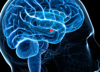 Comment expliquer l’incapacité des victimes à réagir quand elles tombent en état de sidération ?