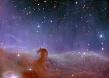 Le télescope spatial Euclid de l’ESA dévoile ses premières images