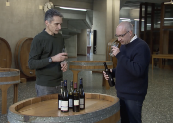 Chaque vin a une signature chimique: une aide pour lutter contre les contrefaçons