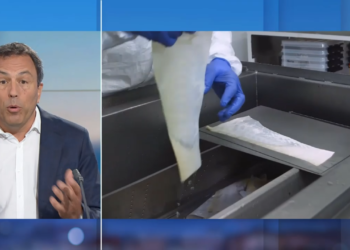 ANALYSE: Greffer des peaux de poissons à des patients: utile, efficace et rentable!