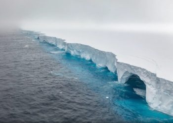 Un iceberg géant menace la faune de la Géorgie du Sud