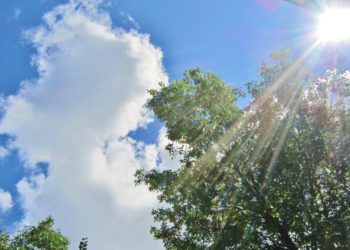 Canicule et médicaments ne font parfois pas bon ménage
