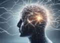 Les canicules durables ont des impacts sur les capacités cognitives
